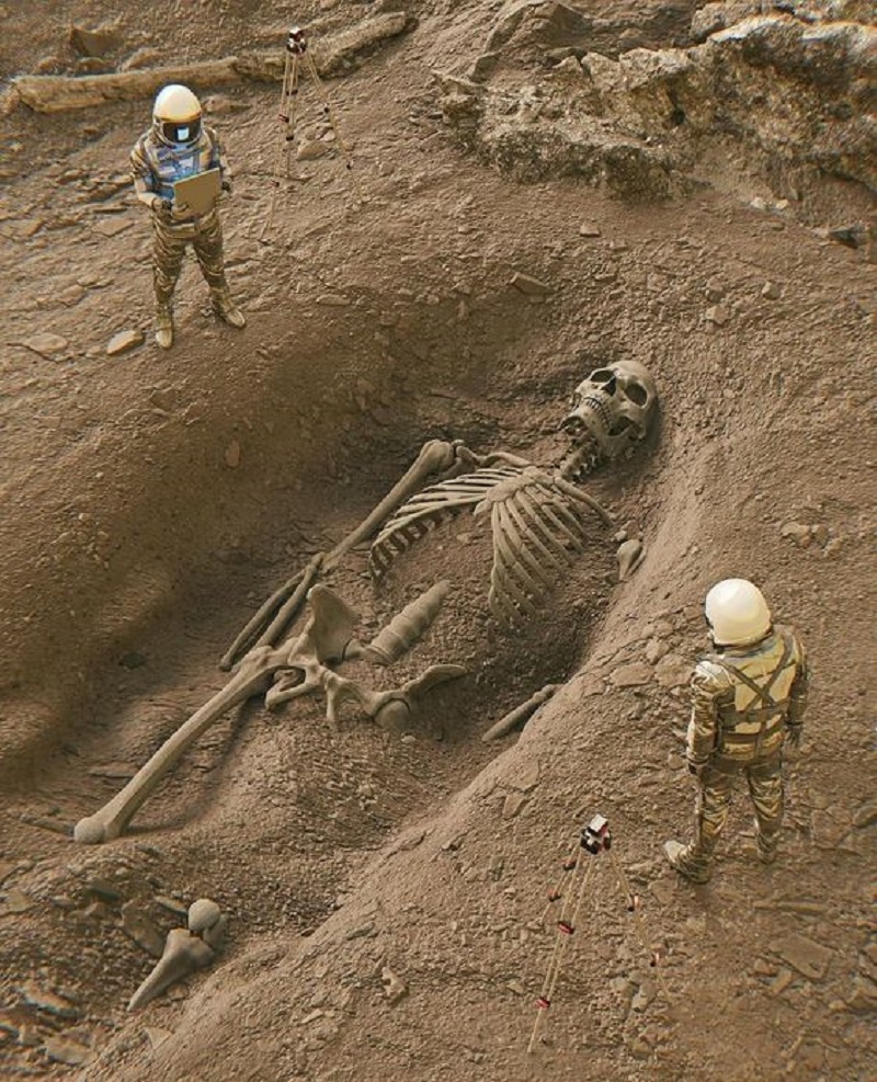 media 6