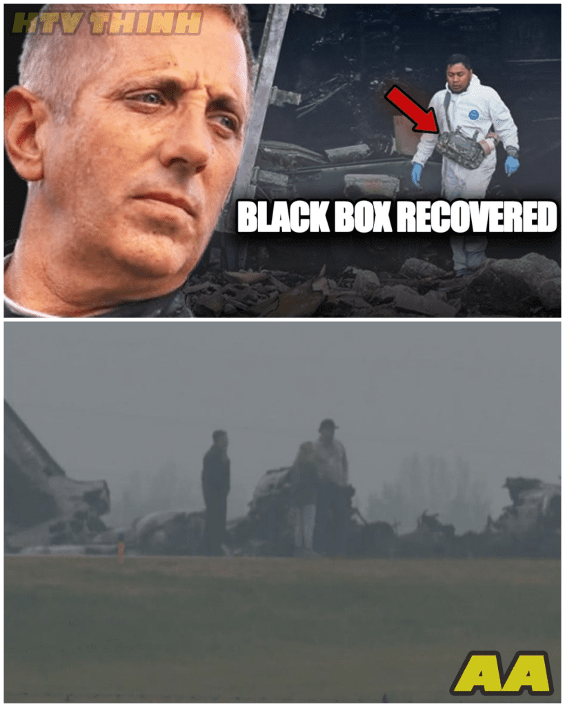 media 8